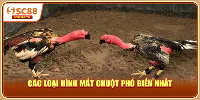 Các loại hình mắt chuột phổ biến nhất