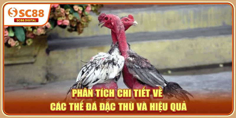 Phân tích chi tiết về các thế đá đặc thù và hiệu quả